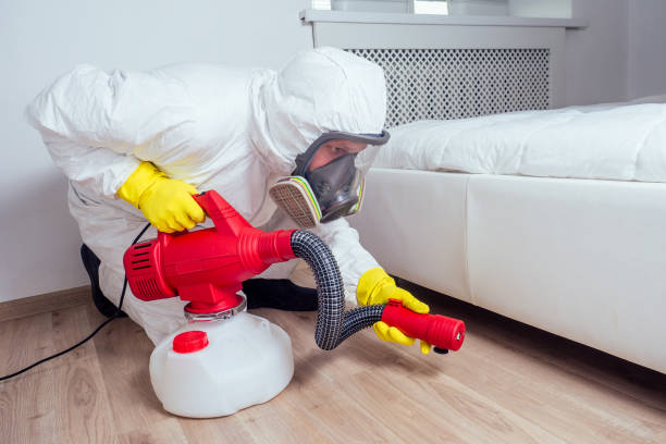 Best Real Estate Pest Inspections  in Mendon, IL